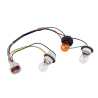 Tail Light Wirings Harness Sockets & Globes