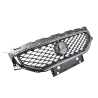 Grille AM (With Chrome Moulding)