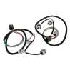 Ozeparts Fits Ford Ranger Ute PX 2011~2022 | Taillight Tail Light Rear Lamp Wiring Harnesses Sockets | 2 x (Pair of LH Left + RH Right)