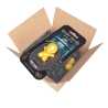 Ozeparts 6 x MARS BOY Doson (Yellow) Air Freshener Diffuser Fragrance For Car Truck Taxi Van Home