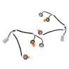 Tail Light Wiring Harness (With Globes & Sockets) (SET LH+RH)