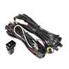 Universal Fog Light Wire Harness (Type 79 Switch)