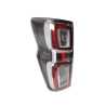Tail Light AM (With LED) Satin Silver Rim