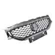 Grille AM (With Chrome Moulding)