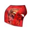 Tail Light AM (Hatch) Twin Circle