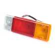 Tail Light AM (Tray 30cm) 300mm x 100mm (Square Plug)