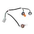 Tail Light Wiring Harness  (With Globes & Sockets) LH=RH