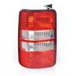 Tail Light AM (Tailgate Type)
