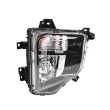 Fog Lamp AM (2 Globe, No DRL)