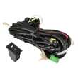 Universal Fog Light Wire Harness (Type 13 Switch)