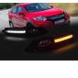 Fog Lamp KIT (With LED DRL + Indicator)