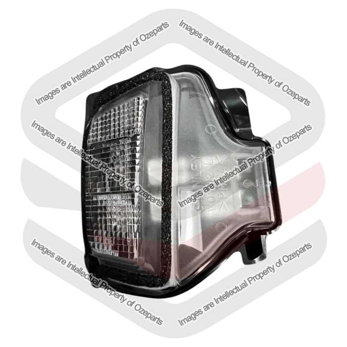 Door Mirror Light OE