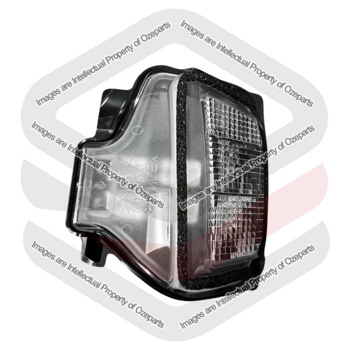 Door Mirror Light OE