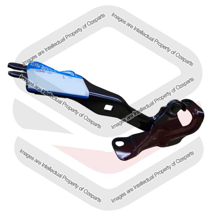 Bonnet Hinge OE