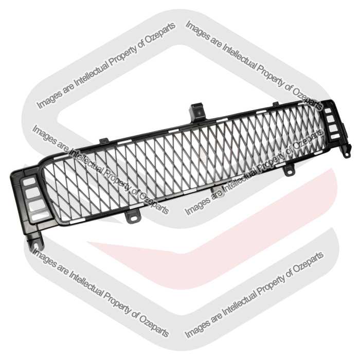 GENUINE Front Bumper Bar Grille Lower Grill For Lexus IS250 2 Door GSE20 09~10