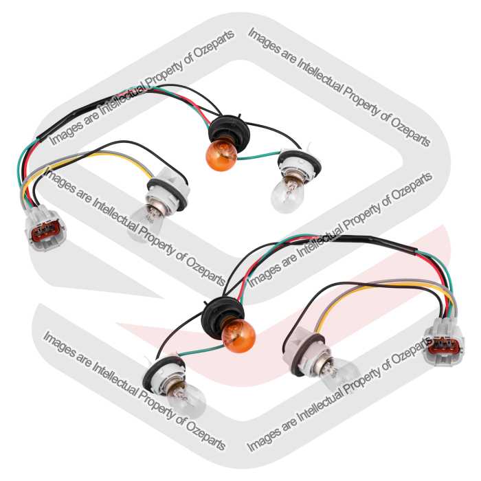 Tail Light Wirings Harness Sockets & Globes (SET LH+RH)