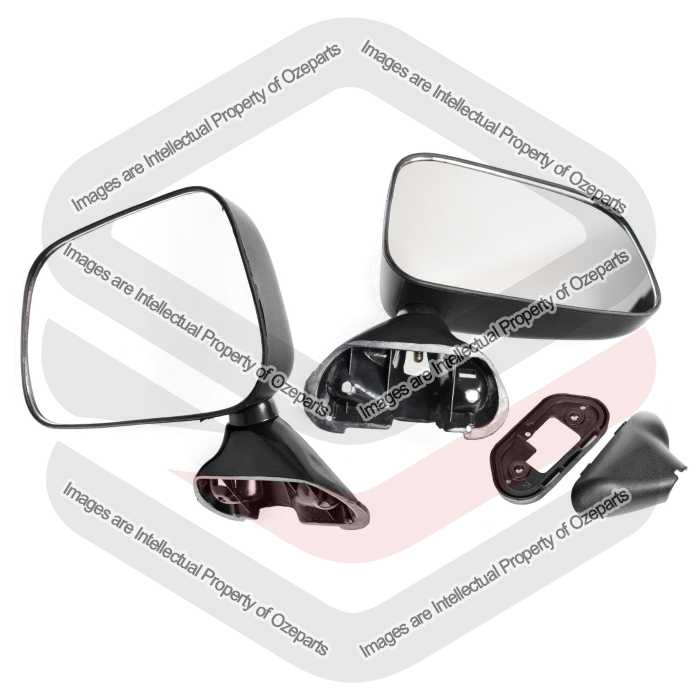 Door Mirror AM - Mount Door Skin (Texture Black) (SET LH+RH)