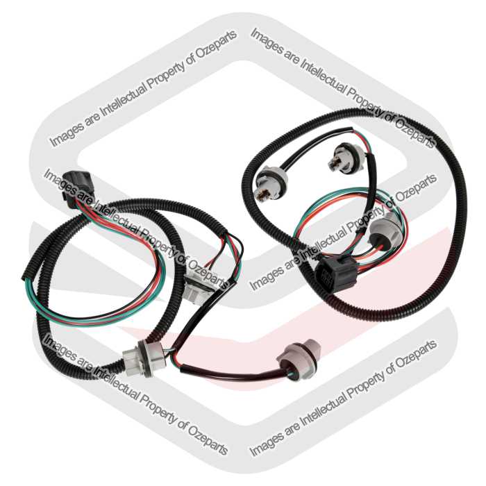 Ozeparts Fits Ford Ranger Ute PX 2011~2022 | Taillight Tail Light Rear Lamp Wiring Harnesses Sockets | 2 x (Pair of LH Left + RH Right)