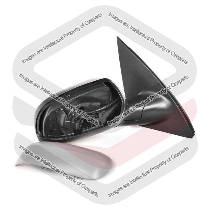 Door Mirror Manual