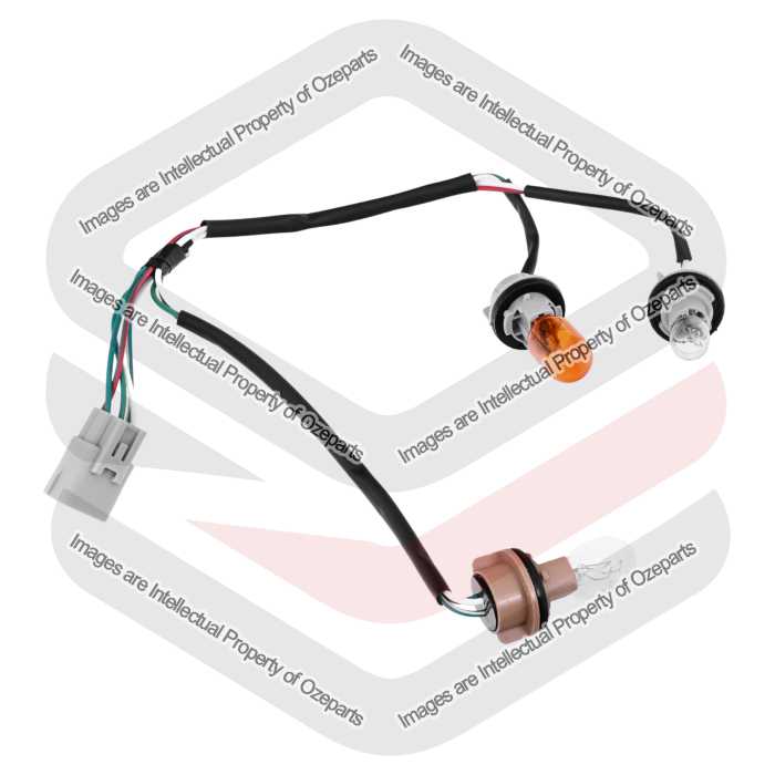 Tail Light Wiring Harness  (With Globes & Sockets) LH=RH