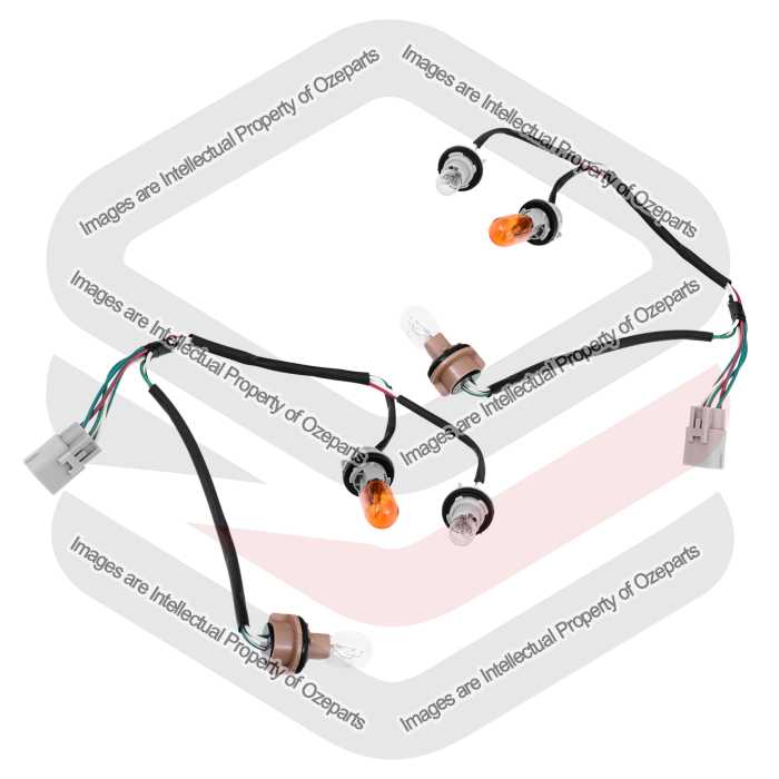 Tail Light Wiring Harness (With Globes & Sockets) (SET LH+RH)