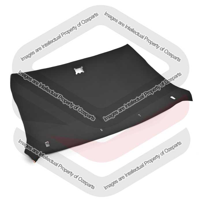 Roof Lining Interior (Black) - Ute Only