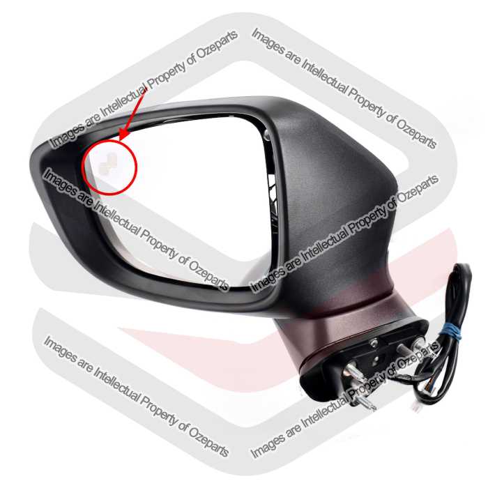 Door Mirror AM (8 + 2 Pins With Auto Fold & Blind Spot Alert)