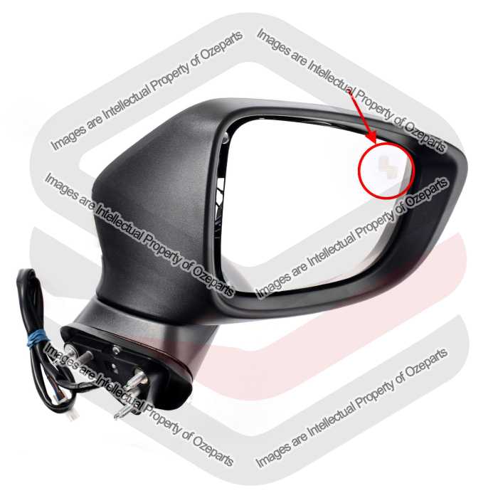 Door Mirror AM (8 + 2 Pins With Auto Fold & Blind Spot Alert)