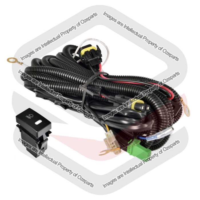 Universal Fog Light Wire Harness (Type 13 Switch)
