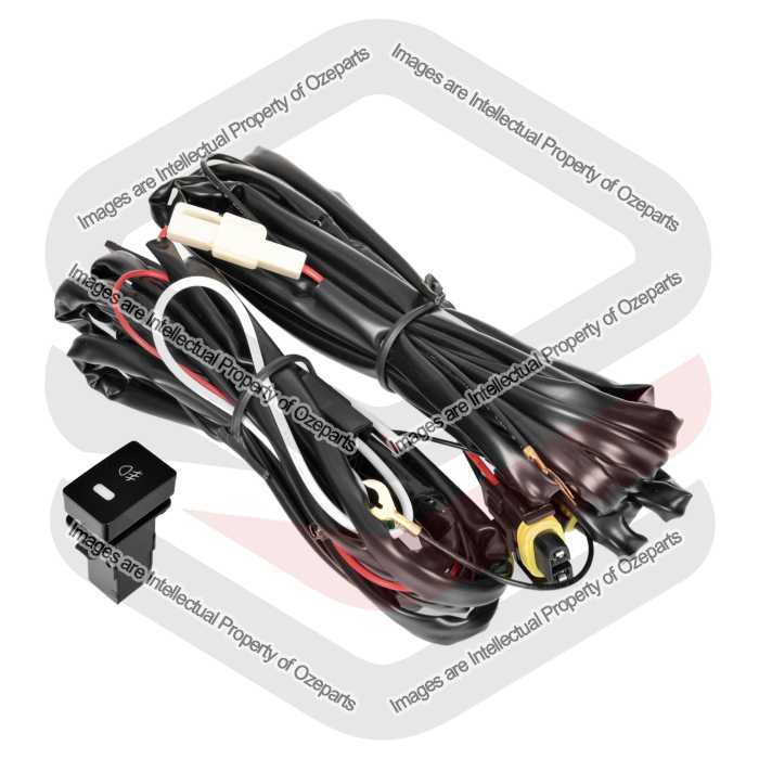 Universal Fog Light Wire Harness (Type 79 Switch)