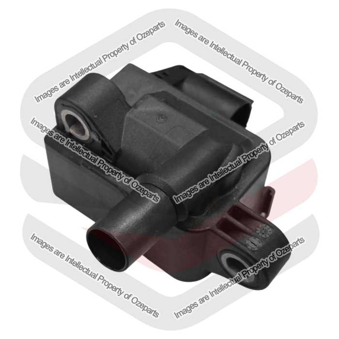 Ignition Coil Module Only OE (1 Pcs)